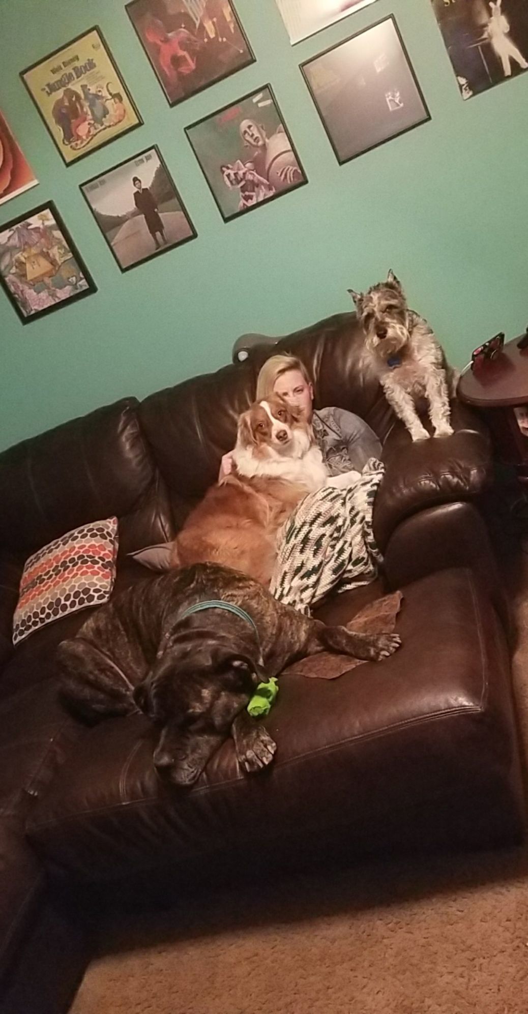 Pups